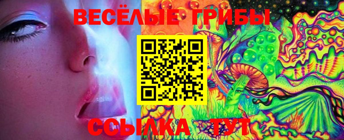 купить закладку  Псилоцибиновые грибы ЛСД  Вход с VPN  Горно-Алтайск 