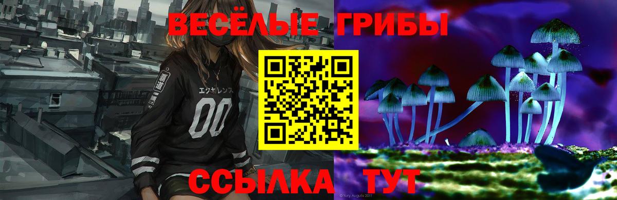 Галлюциногенные грибы MAGIC MUSHROOMS Горно-Алтайск