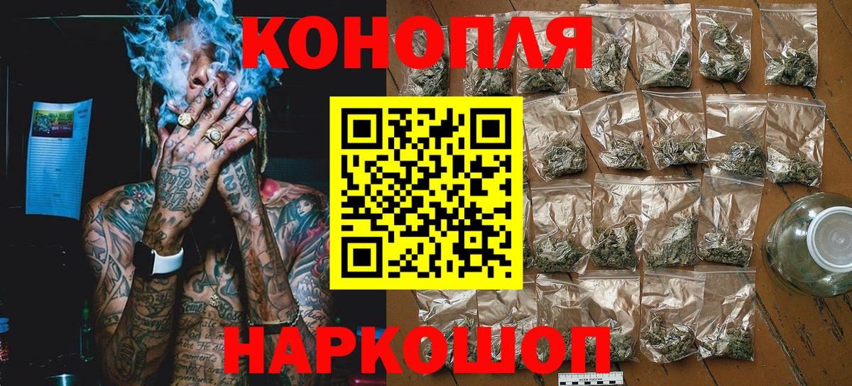 Бошки Шишки планчик Горно-Алтайск